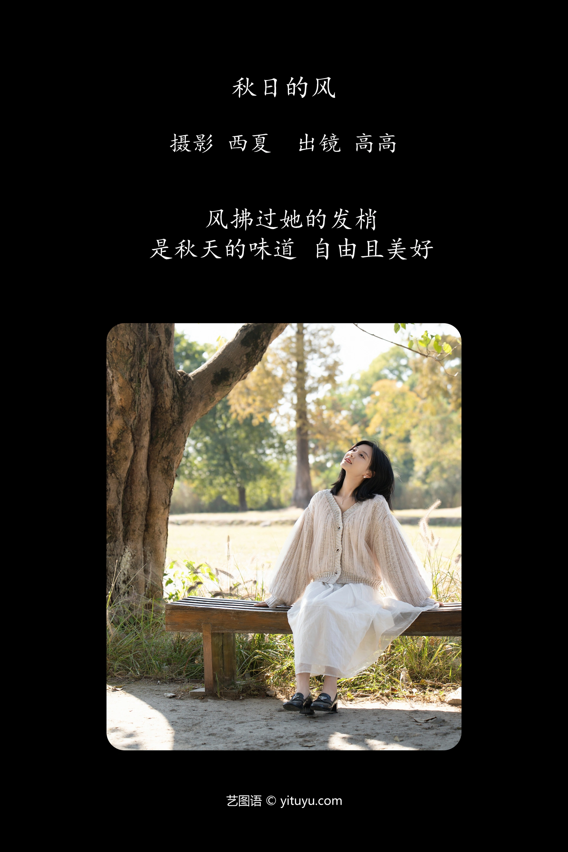 [YITUYU艺图语]2023.12.12 秋日的风 高高 0